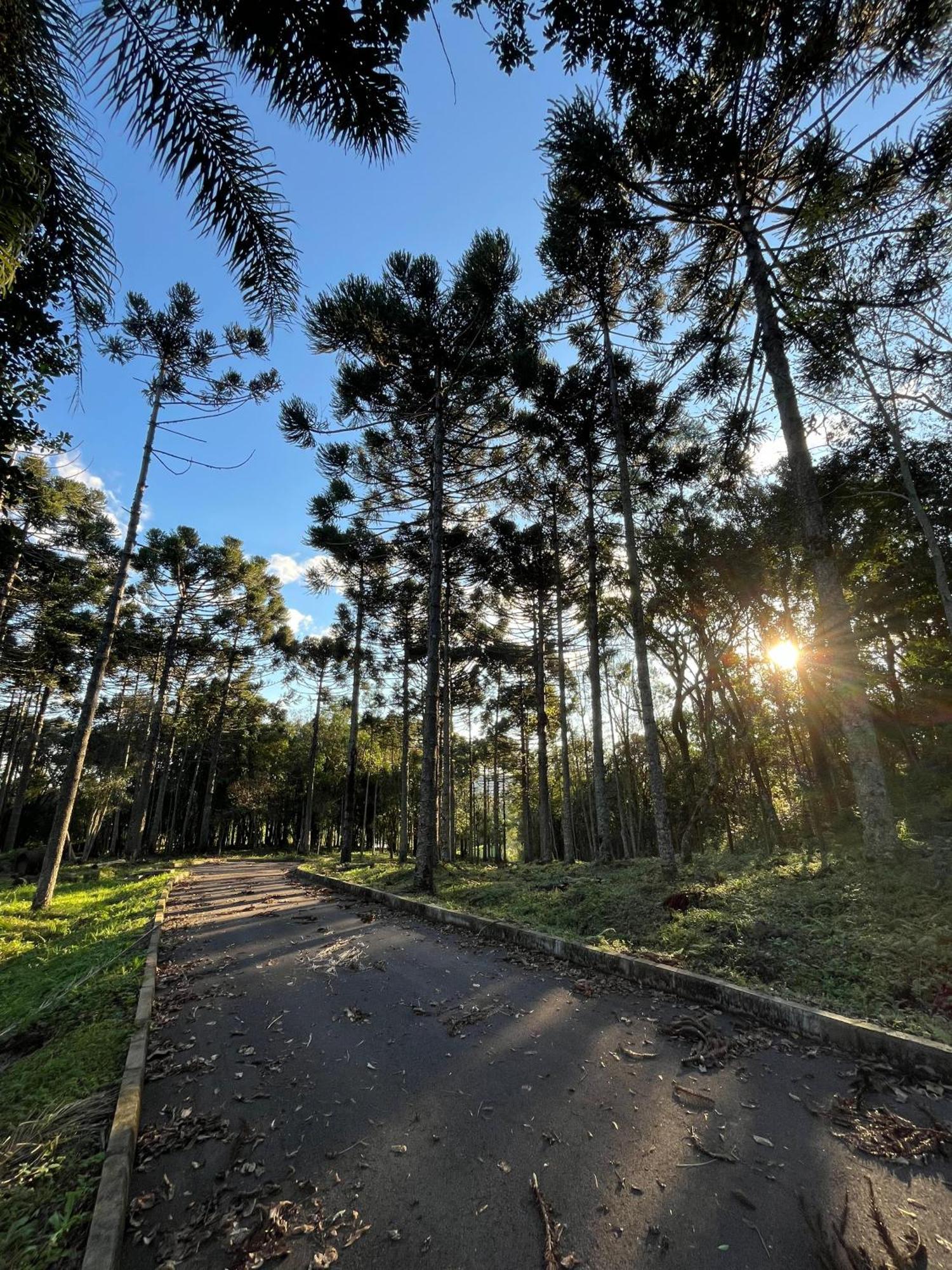 Ville Del Bosco Hotel São Marcos Eksteriør bilde
